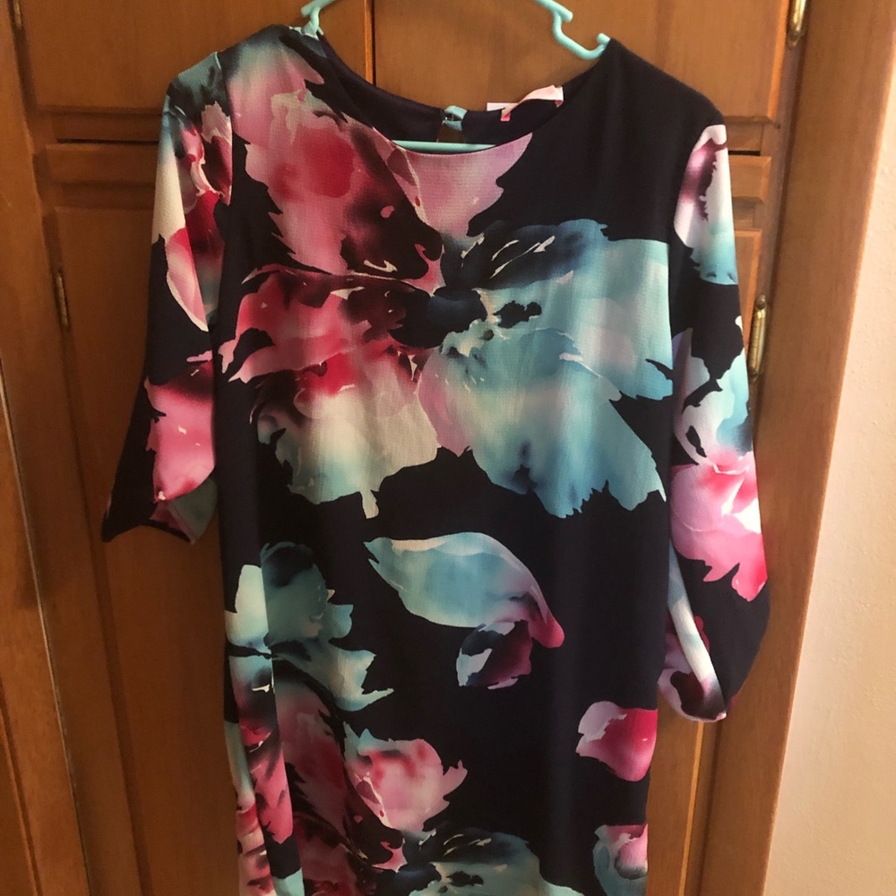 NWT, watercolor floral Pink Lily Boutique Dress, L